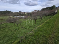 Terreno Urbano T0 - S�o Pedro do Sul, S�o Pedro do Sul, Viseu - Miniatura: 4/24