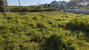 Terreno Urbano T0 - Currelos, Carregal do Sal, Viseu - Miniatura: 12/13