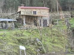 Terreno Rústico T0 - Castelo, Moimenta da Beira, Viseu - Miniatura: 24/24