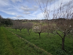 Terreno Urbano T0 - So Pedro do Sul, So Pedro do Sul, Viseu - Miniatura: 21/24