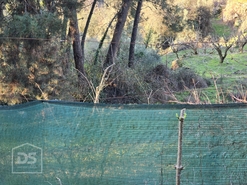 Terreno R�stico T0 - Castelo, Moimenta da Beira, Viseu - Miniatura: 40/46