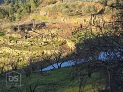 Terreno R�stico T0 - Castelo, Moimenta da Beira, Viseu - Miniatura: 41/46