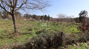 Terreno Urbano T0 - Abraveses, Viseu, Viseu - Miniatura: 7/8