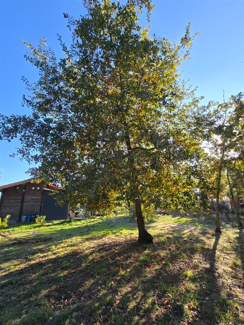 Quinta T1 - Santa Comba D�o, Santa Comba D�o, Viseu - Miniatura: 6/24