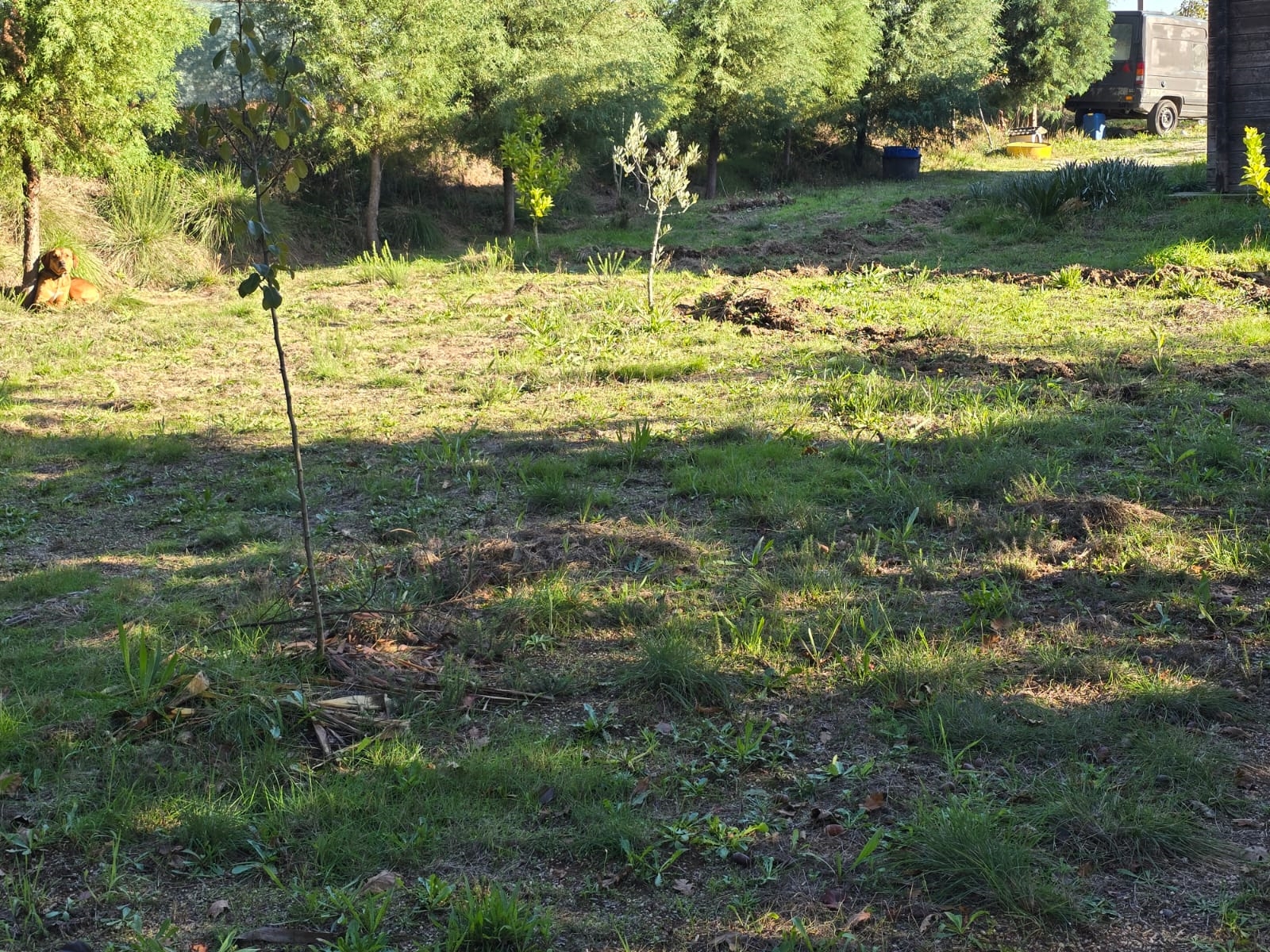 Quinta T1 - Santa Comba D�o, Santa Comba D�o, Viseu - Miniatura: 7/24