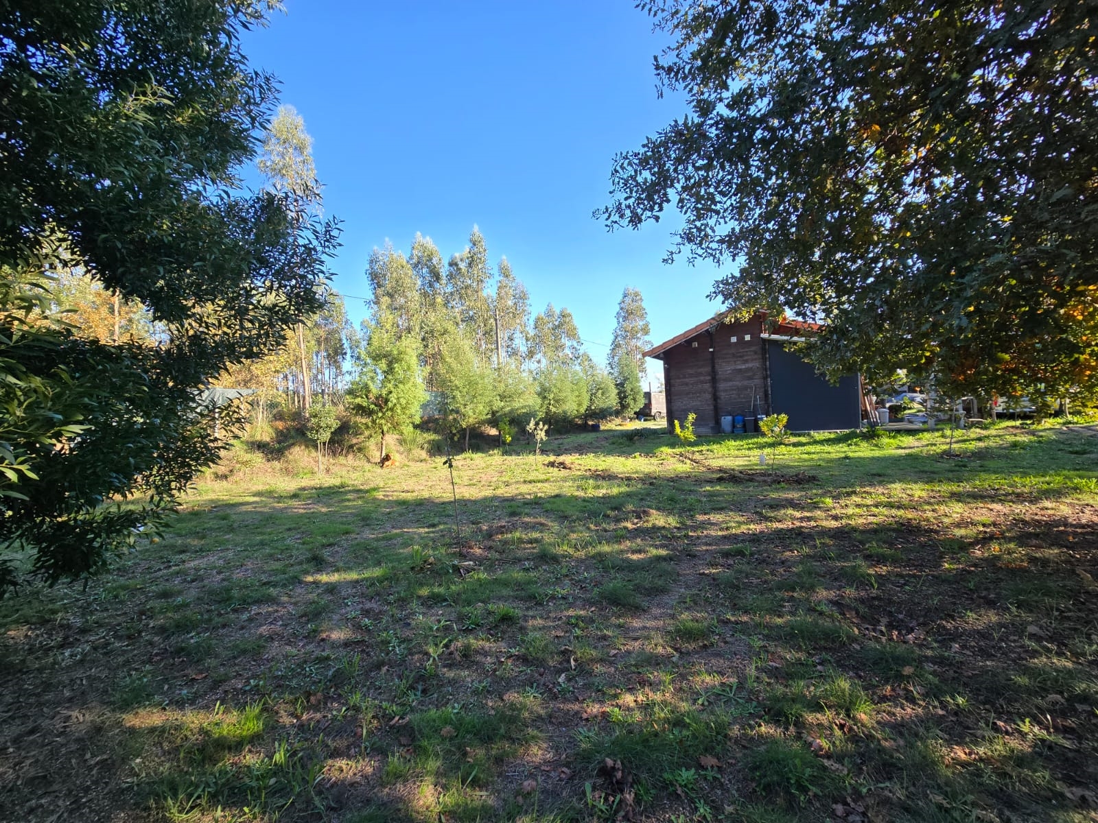 Quinta T1 - Santa Comba D�o, Santa Comba D�o, Viseu - Miniatura: 8/24