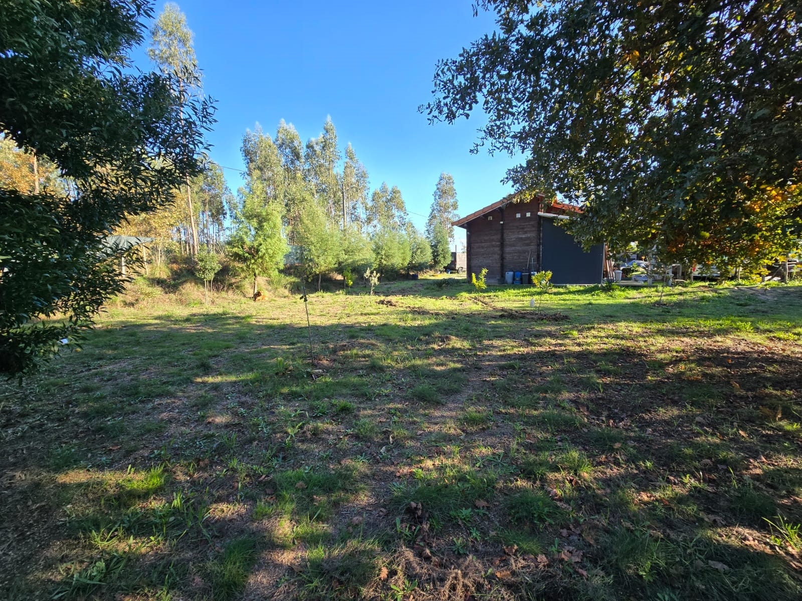 Quinta T1 - Santa Comba D�o, Santa Comba D�o, Viseu - Miniatura: 9/24