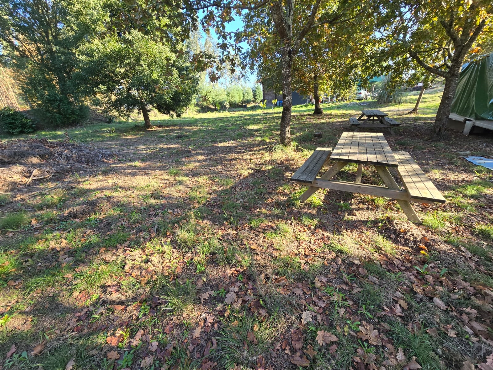 Quinta T1 - Santa Comba D�o, Santa Comba D�o, Viseu - Miniatura: 10/24