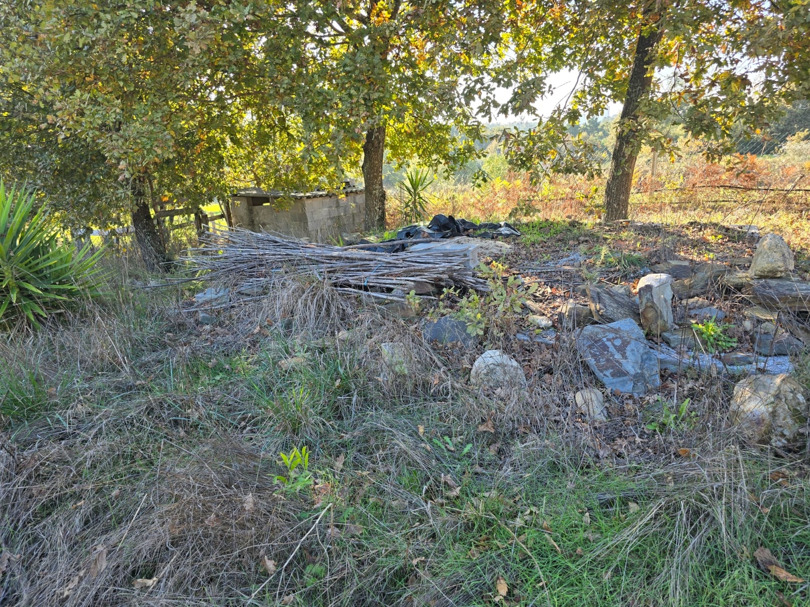 Quinta T1 - Santa Comba D�o, Santa Comba D�o, Viseu - Miniatura: 14/24
