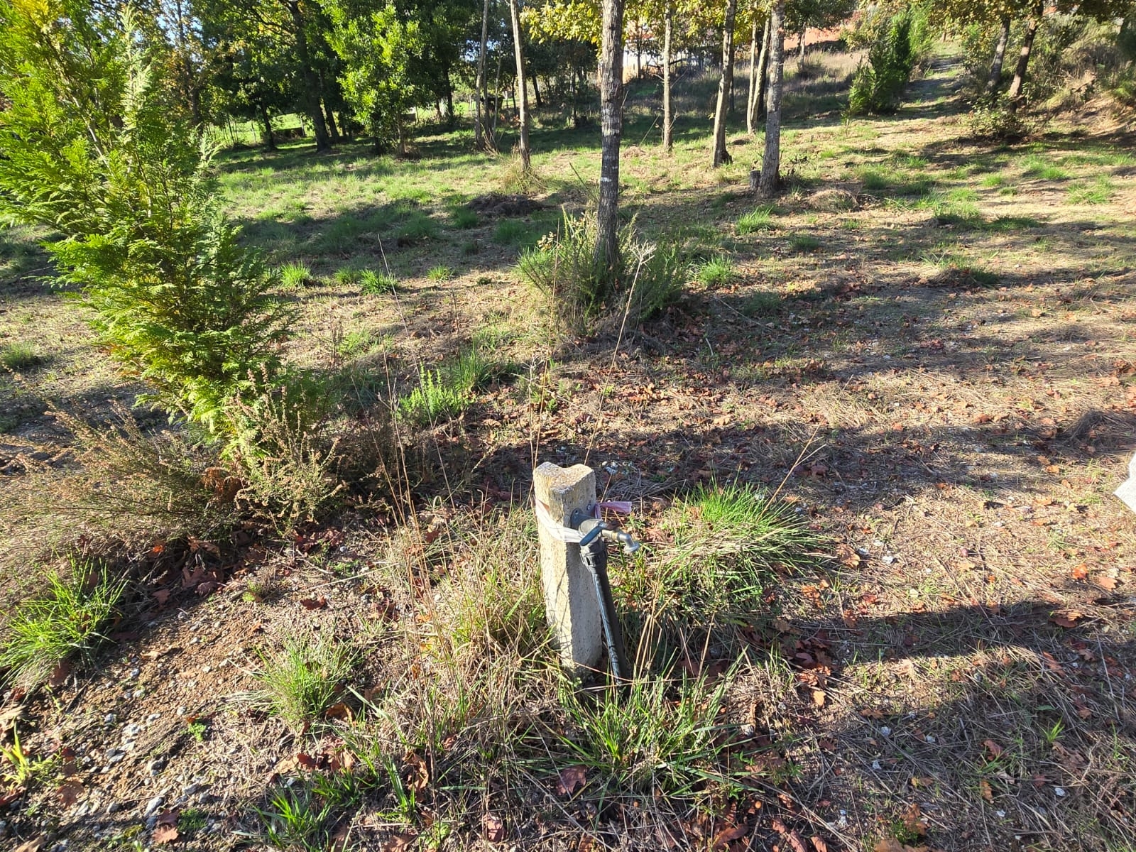 Quinta T1 - Santa Comba D�o, Santa Comba D�o, Viseu - Miniatura: 16/24