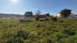 Moradia T6 - S�o Cipriano, Viseu, Viseu - Miniatura: 15/25