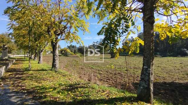 Terreno Rústico T0 - Ovoa, Santa Comba Dão, Viseu - Imagem grande