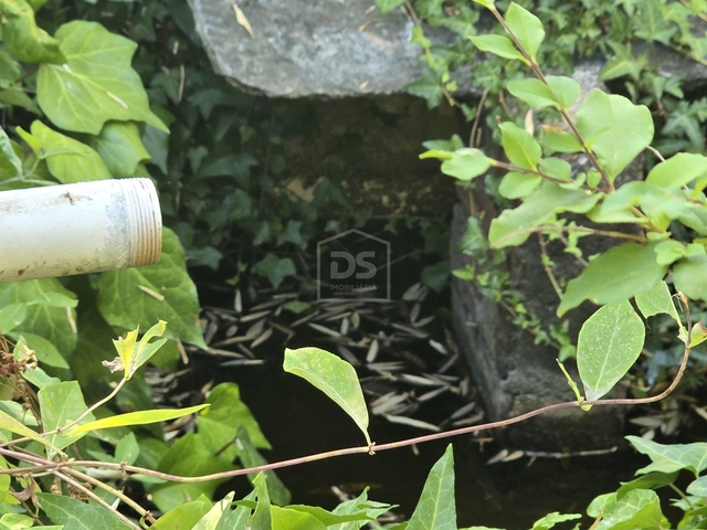 Terreno Urbano T0 - Queiriga, Vila Nova de Paiva, Viseu - Imagem grande