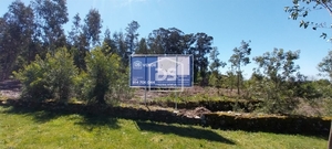 Quinta T0 - Mundo, Viseu, Viseu - Miniatura: 3/24