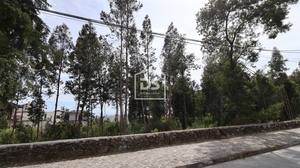 Quinta T0 - Mundo, Viseu, Viseu - Miniatura: 19/24