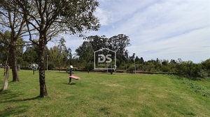 Quinta T0 - Mundo, Viseu, Viseu - Miniatura: 24/24