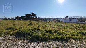 Terreno Urbano T0 - Currelos, Carregal do Sal, Viseu - Miniatura: 1/6