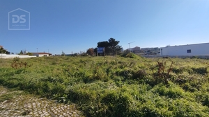 Terreno Urbano T0 - Currelos, Carregal do Sal, Viseu - Miniatura: 7/13