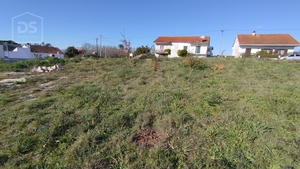 Terreno Urbano T0 - Currelos, Carregal do Sal, Viseu - Miniatura: 9/13