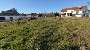 Terreno Urbano T0 - Currelos, Carregal do Sal, Viseu - Miniatura: 12/13