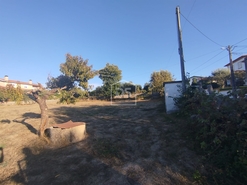 Terreno Urbano T0 - Nogueira do Cravo, Oliveira do Hospital, Coimbra - Miniatura: 3/11