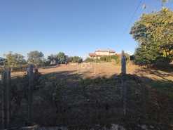 Terreno Urbano T0 - Nogueira do Cravo, Oliveira do Hospital, Coimbra - Miniatura: 6/11