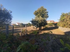 Terreno Urbano T0 - Nogueira do Cravo, Oliveira do Hospital, Coimbra - Miniatura: 8/11