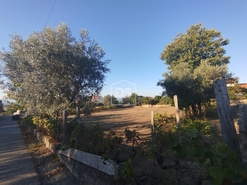 Terreno Urbano T0 - Nogueira do Cravo, Oliveira do Hospital, Coimbra - Miniatura: 9/11