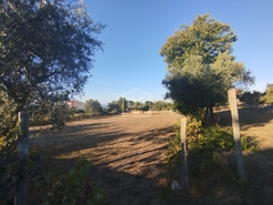 Terreno Urbano T0 - Nogueira do Cravo, Oliveira do Hospital, Coimbra - Miniatura: 10/11