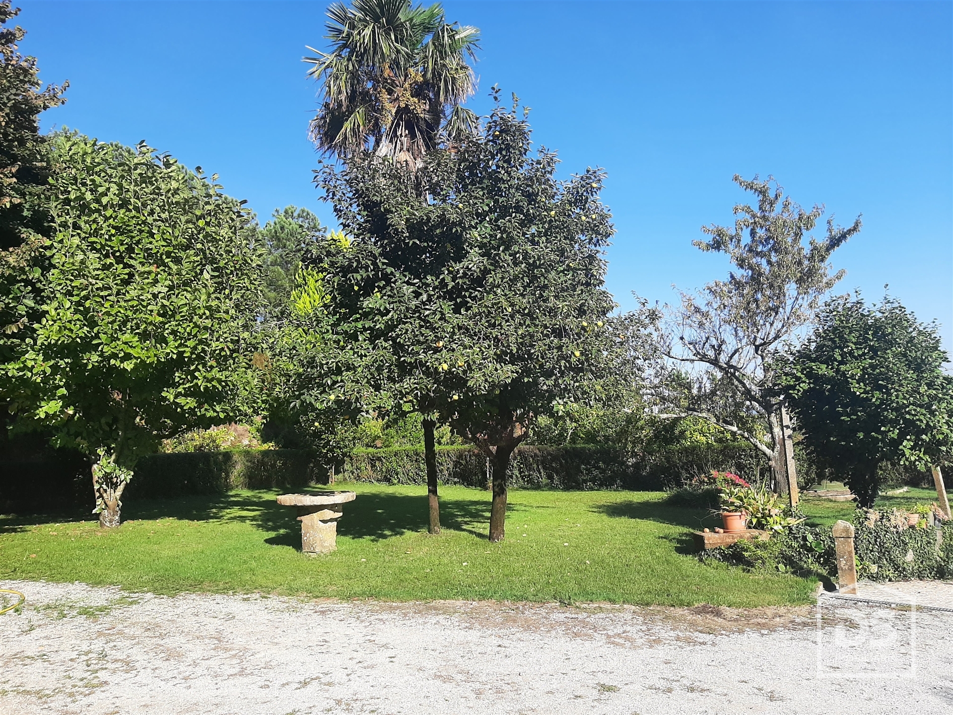 Quinta T0 - Cavern�es, Viseu, Viseu - Miniatura: 6/13