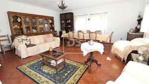 Quinta T6 - Campo, Viseu, Viseu - Miniatura: 8/24