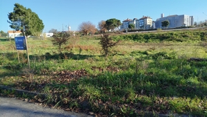 Terreno Urbano T0 - Currelos, Carregal do Sal, Viseu - Miniatura: 4/13