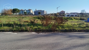 Terreno Urbano T0 - Currelos, Carregal do Sal, Viseu - Miniatura: 6/13