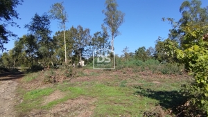 Terreno Rstico T0 - Ovoa, Santa Comba Do, Viseu
