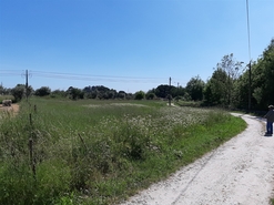 Terreno R�stico T0 - Canas de Senhorim, Nelas, Viseu