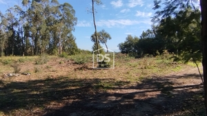 Terreno Rstico T0 - Ovoa, Santa Comba Do, Viseu - Miniatura: 6/7