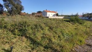 Terreno Urbano T0 - Currelos, Carregal do Sal, Viseu - Miniatura: 9/13