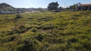 Terreno Urbano T0 - Currelos, Carregal do Sal, Viseu - Miniatura: 12/13