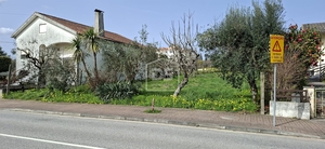 Terreno R�stico T0 - Currelos, Carregal do Sal, Viseu - Miniatura: 2/24