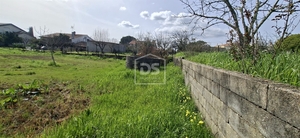 Terreno R�stico T0 - Currelos, Carregal do Sal, Viseu - Miniatura: 4/24