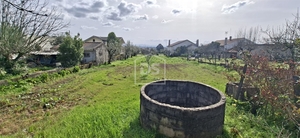 Terreno R�stico T0 - Currelos, Carregal do Sal, Viseu - Miniatura: 5/24