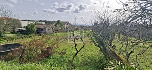 Terreno R�stico T0 - Currelos, Carregal do Sal, Viseu - Miniatura: 6/24