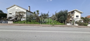 Terreno R�stico T0 - Currelos, Carregal do Sal, Viseu - Miniatura: 7/24