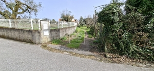 Terreno R�stico T0 - Currelos, Carregal do Sal, Viseu - Miniatura: 11/24