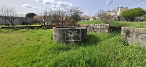 Terreno R�stico T0 - Currelos, Carregal do Sal, Viseu - Miniatura: 12/24