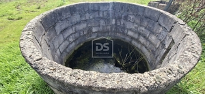 Terreno R�stico T0 - Currelos, Carregal do Sal, Viseu - Miniatura: 13/24