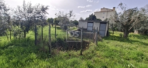 Terreno R�stico T0 - Currelos, Carregal do Sal, Viseu - Miniatura: 14/24