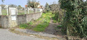 Terreno R�stico T0 - Currelos, Carregal do Sal, Viseu - Miniatura: 16/24