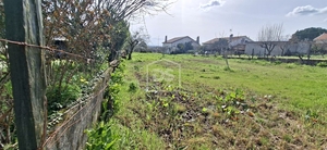 Terreno R�stico T0 - Currelos, Carregal do Sal, Viseu - Miniatura: 17/24