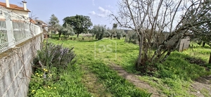 Terreno R�stico T0 - Currelos, Carregal do Sal, Viseu - Miniatura: 18/24